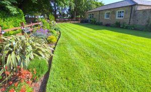 Garden - click for photo gallery